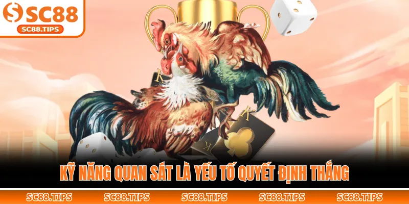 Kỹ năng quan sát là yếu tố quyết định thắng